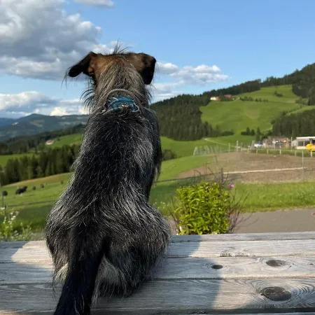 Апартаменты Steirer-nest