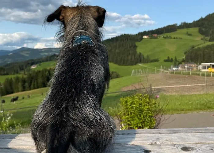 Apartman Steirer-nest