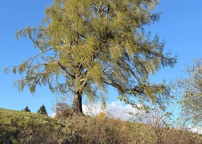 Steirer-nest Apartman *